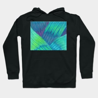 Feathers Hoodie